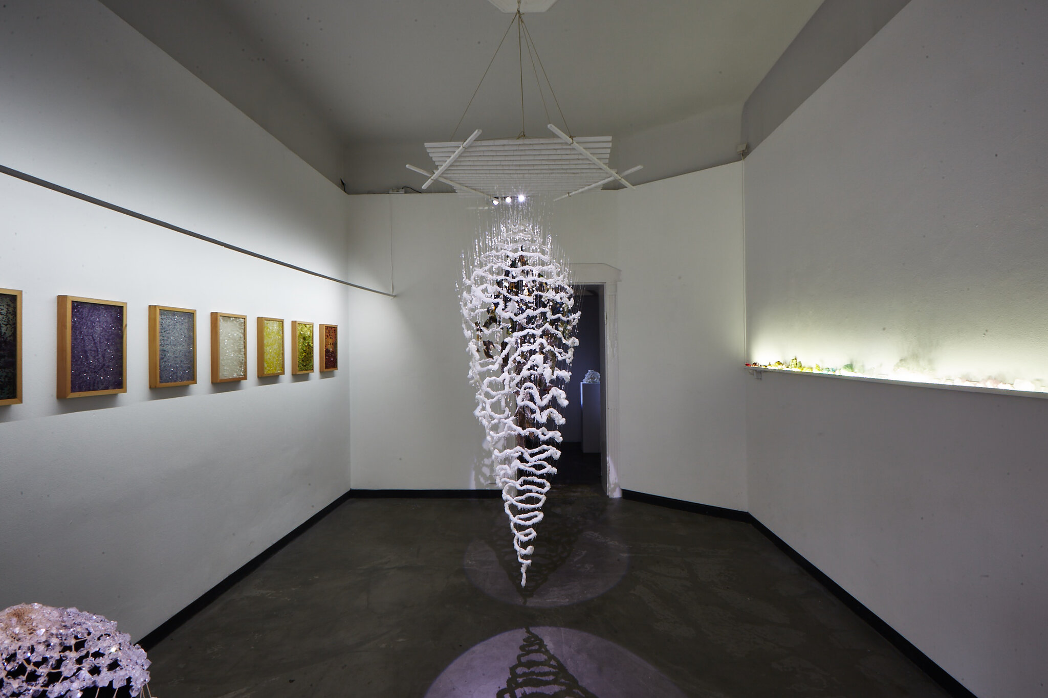 Luz Peuscovich, Installation views from "Chrysalis", 2021