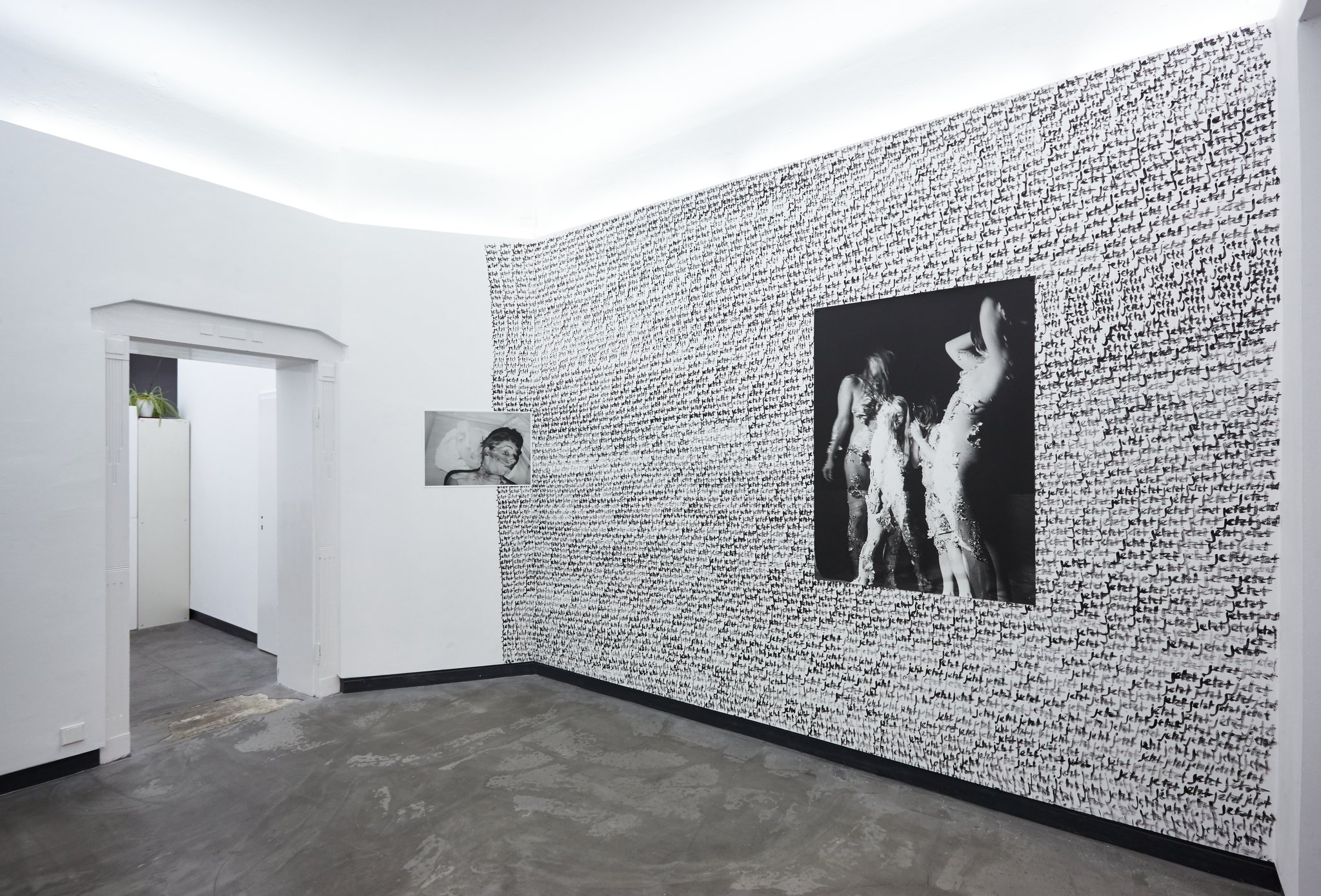 Installation view