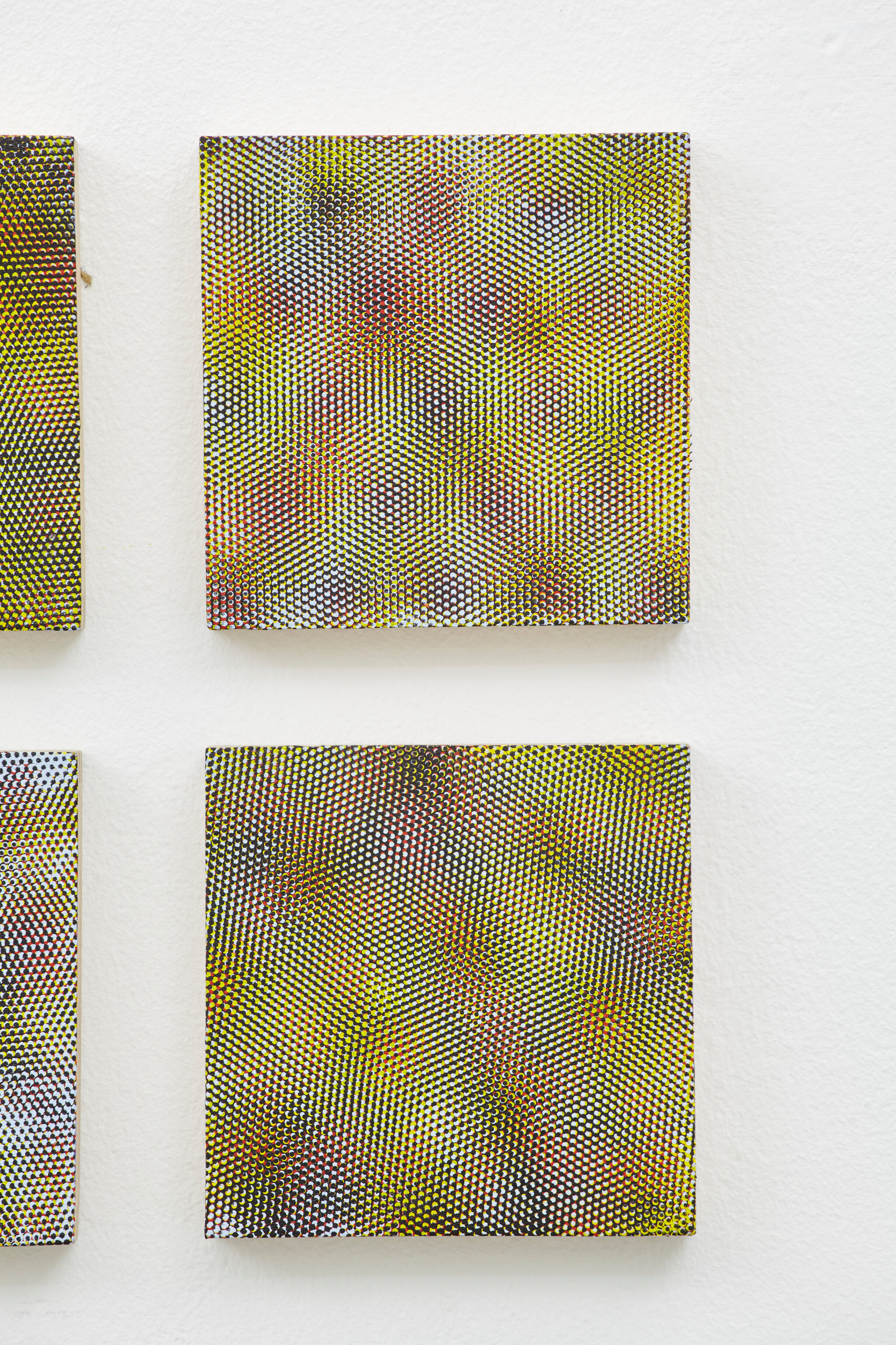 Julie Oppermann, Details from "Perfect Vision"