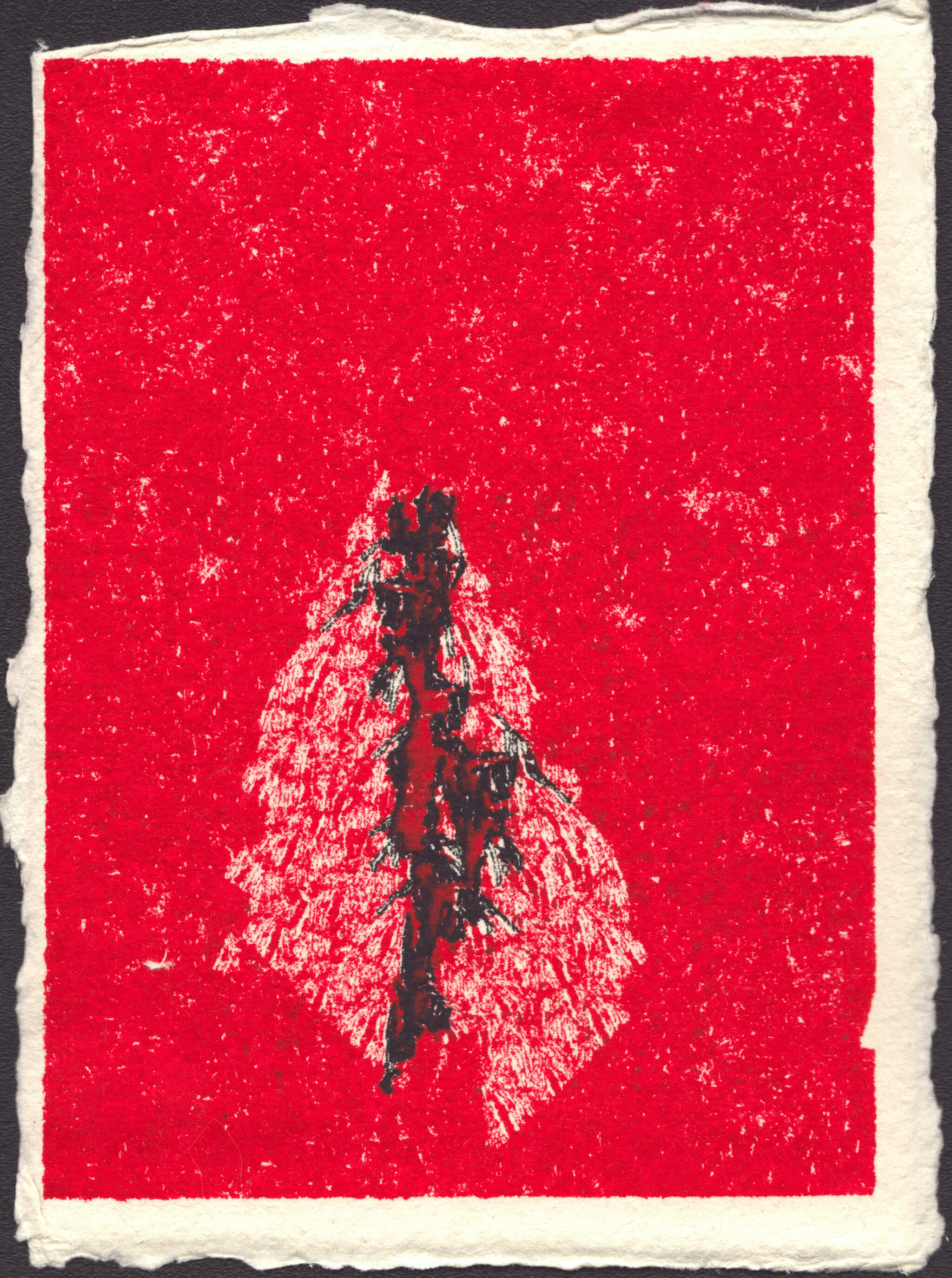 kenconsumer, Select Works, 2024 - present